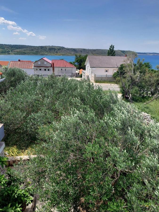 Apartmani Branka Ртина Екстериор снимка